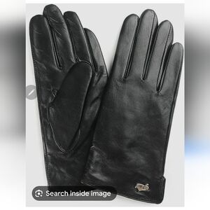 Ambesi Women's Cashmere Lined Nappa Leather Winter Gloves